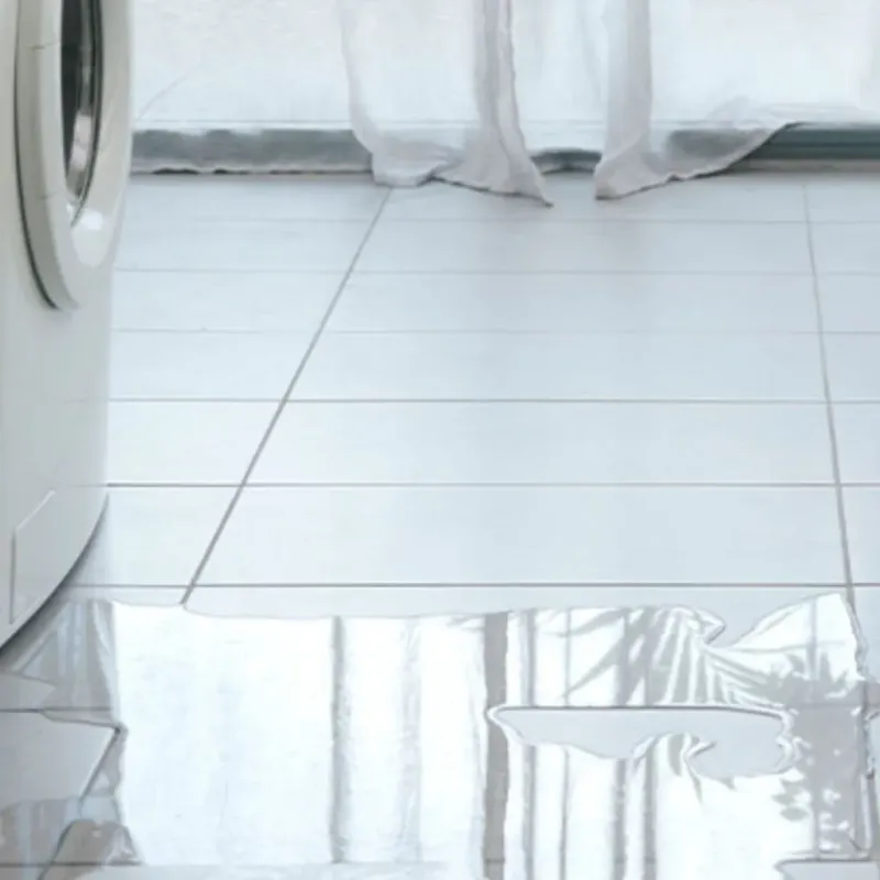 Appliance Leak Cleanup in Wallington, NJ